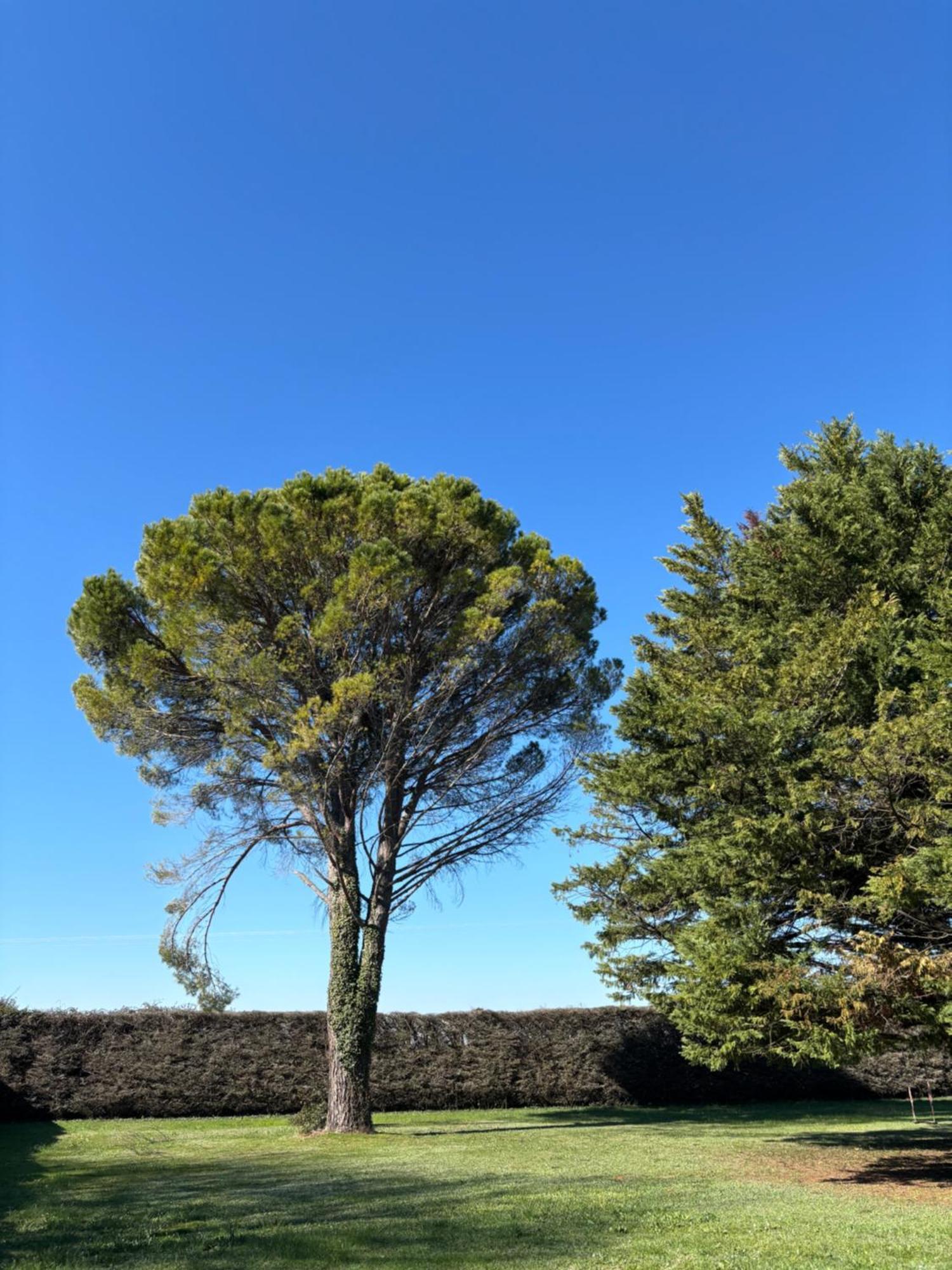 Villa Liberty Entraigues-sur-la-Sorgue Buitenkant foto
